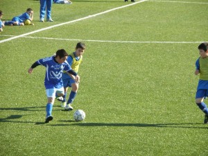 Ypodomes