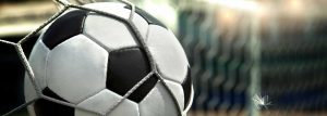 cropped-feather_football_goal_ball_net2-2.jpg