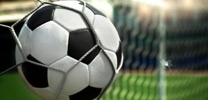 cropped-feather_football_goal_ball_net2.jpg